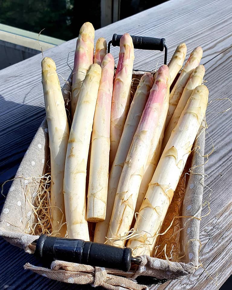 Asperges Valaisannes