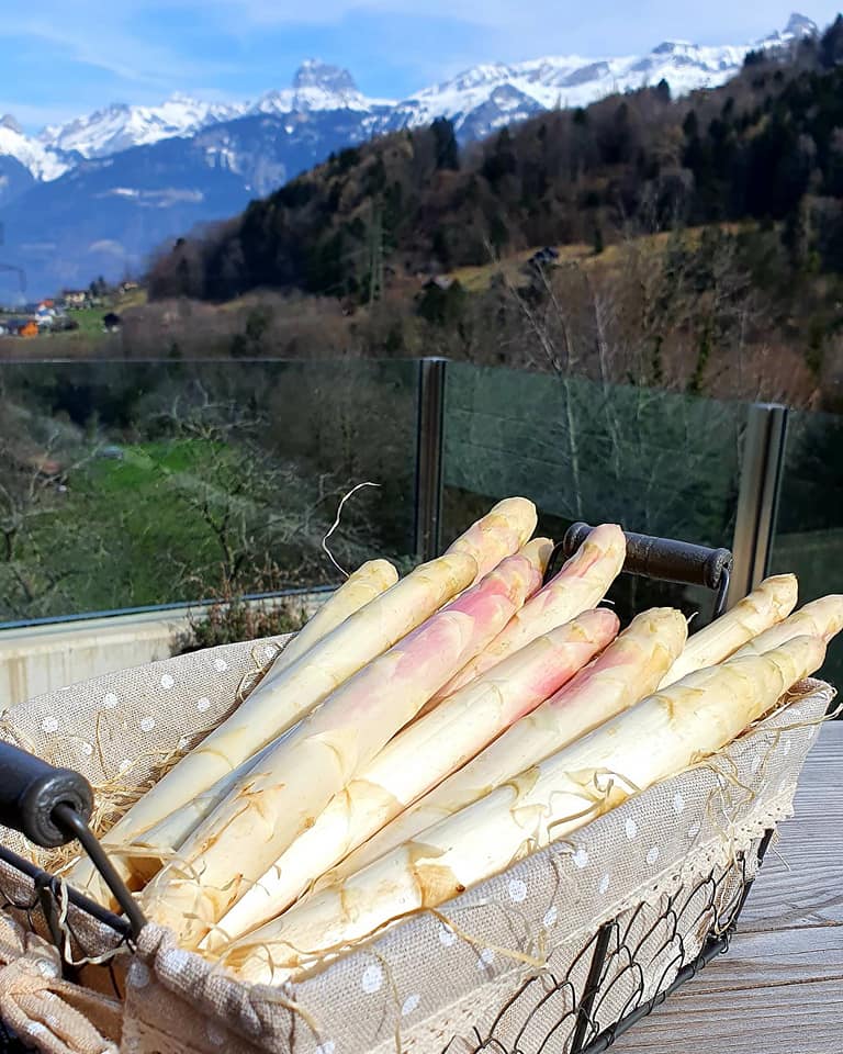 Asperges Valaisannes