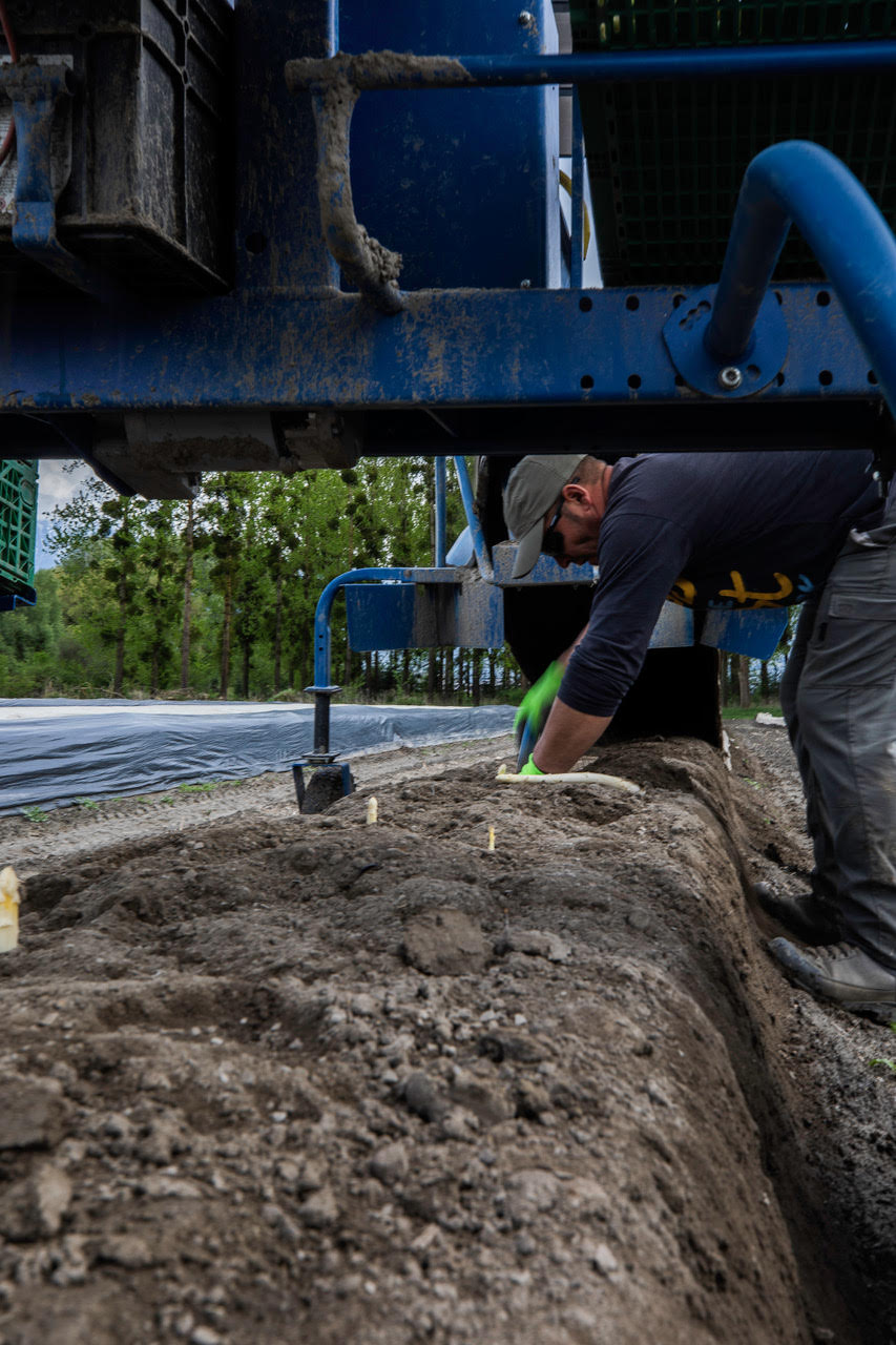 Lattion-Ruppen: trois générations au service du terroir valaisan