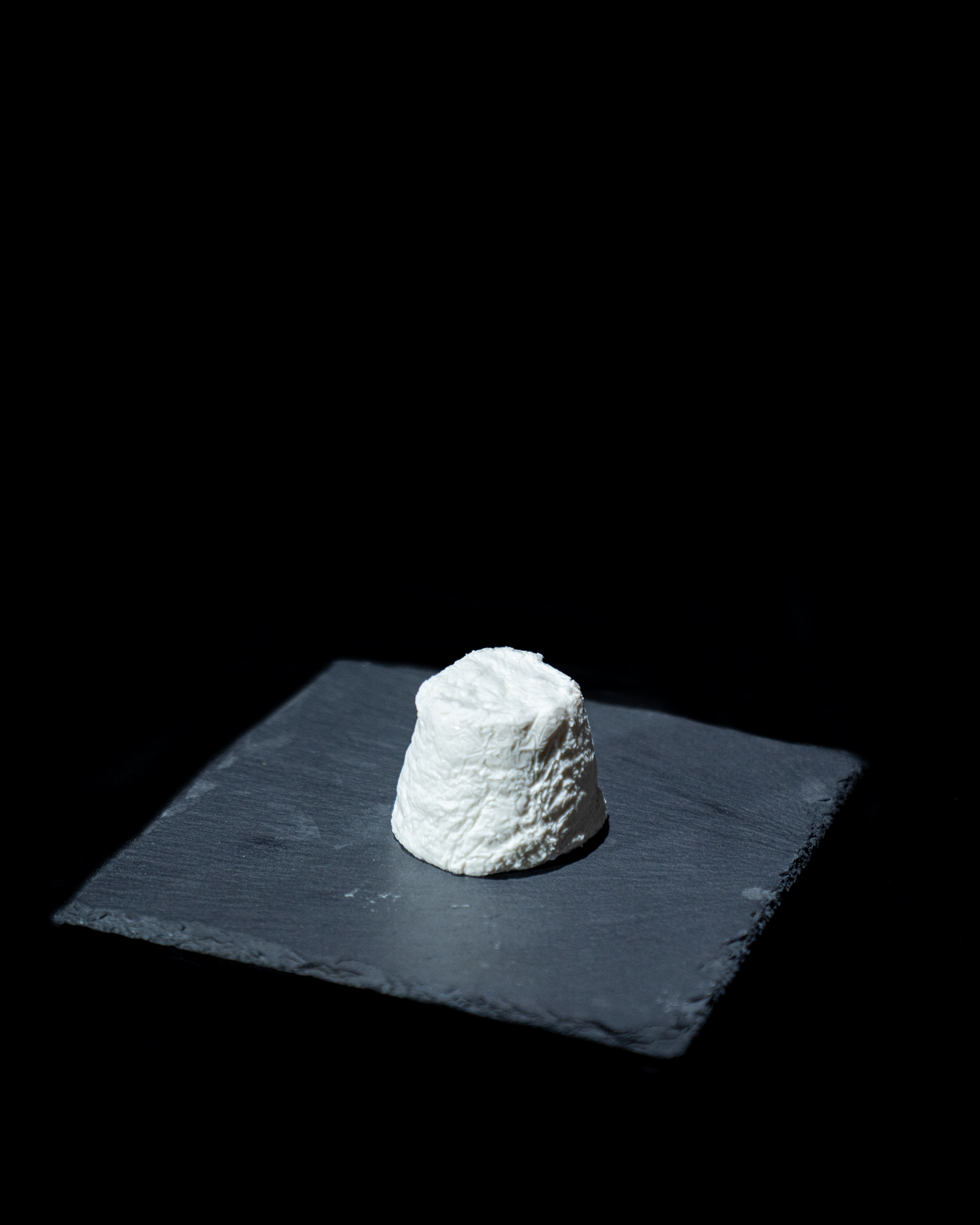 Crottin de chèvre