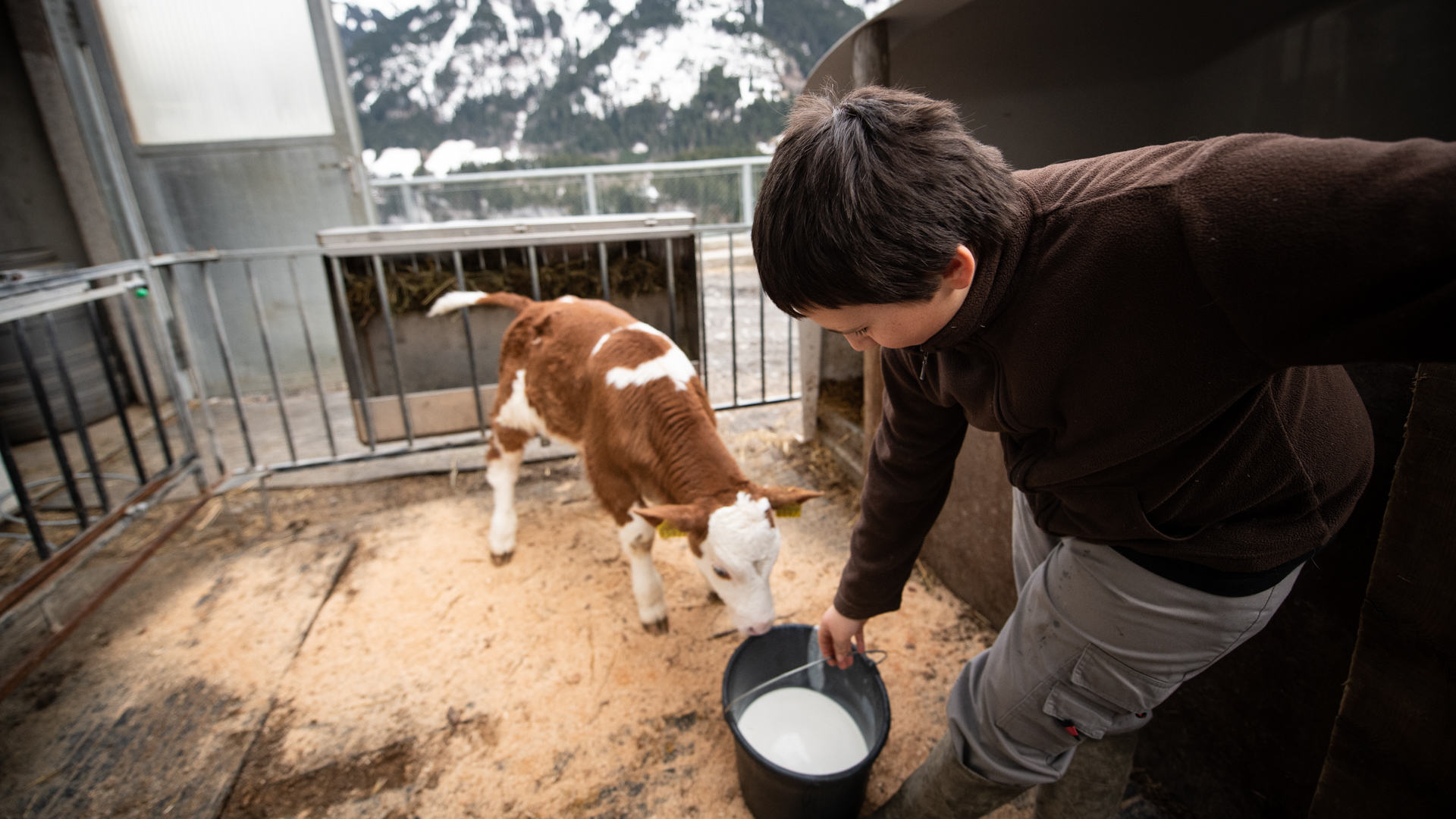 Ferme Berra