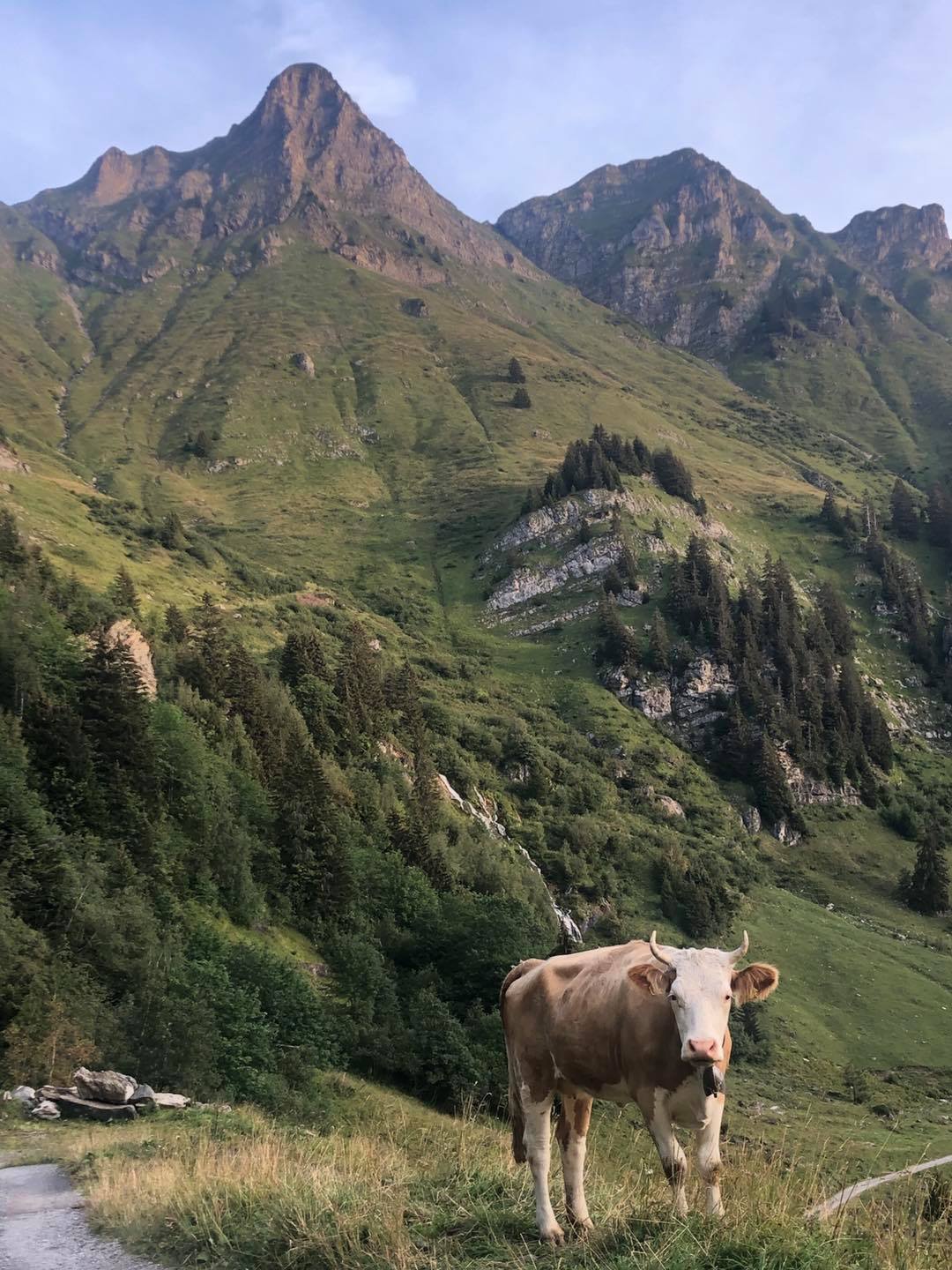 Alpage La Tovassière