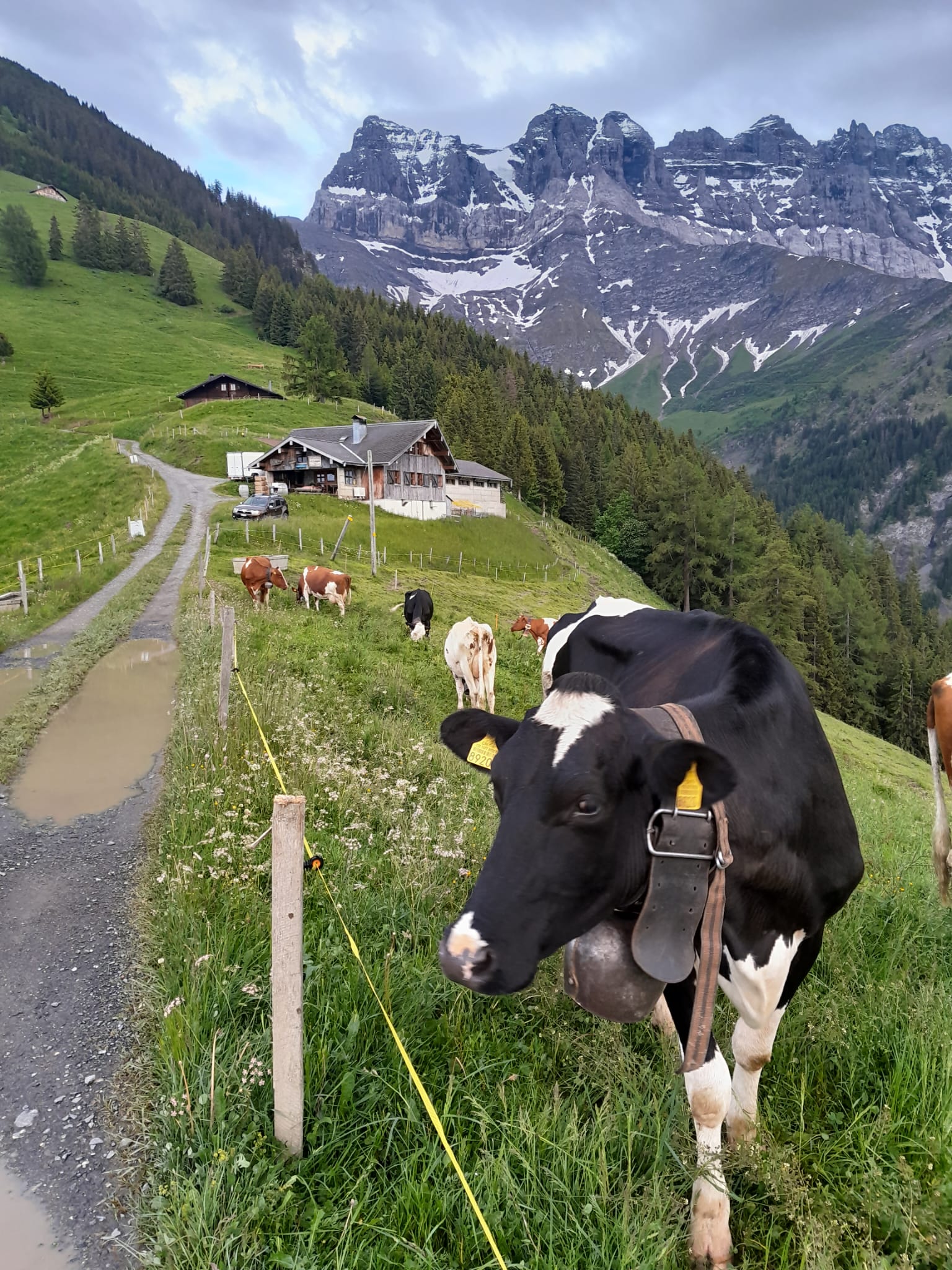 Alpage de la Pâle et ferme de la Cretta