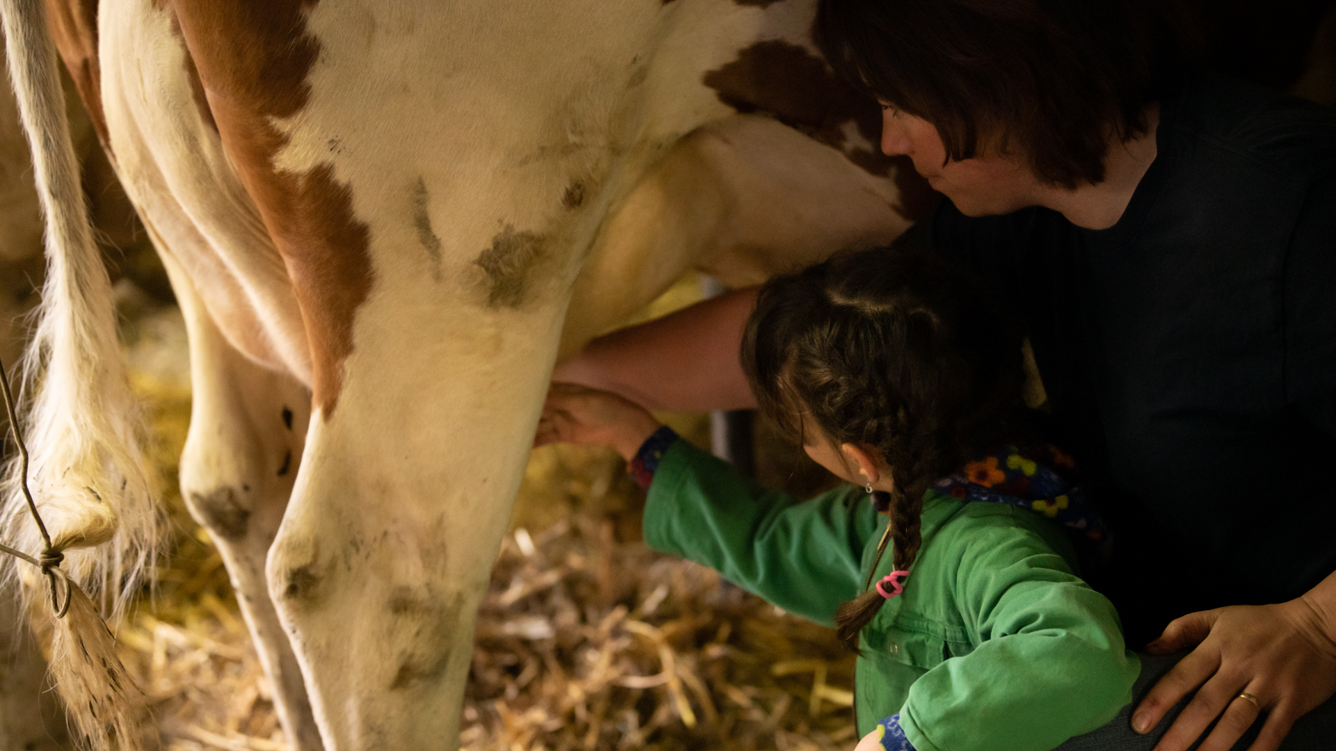 Ferme Berra