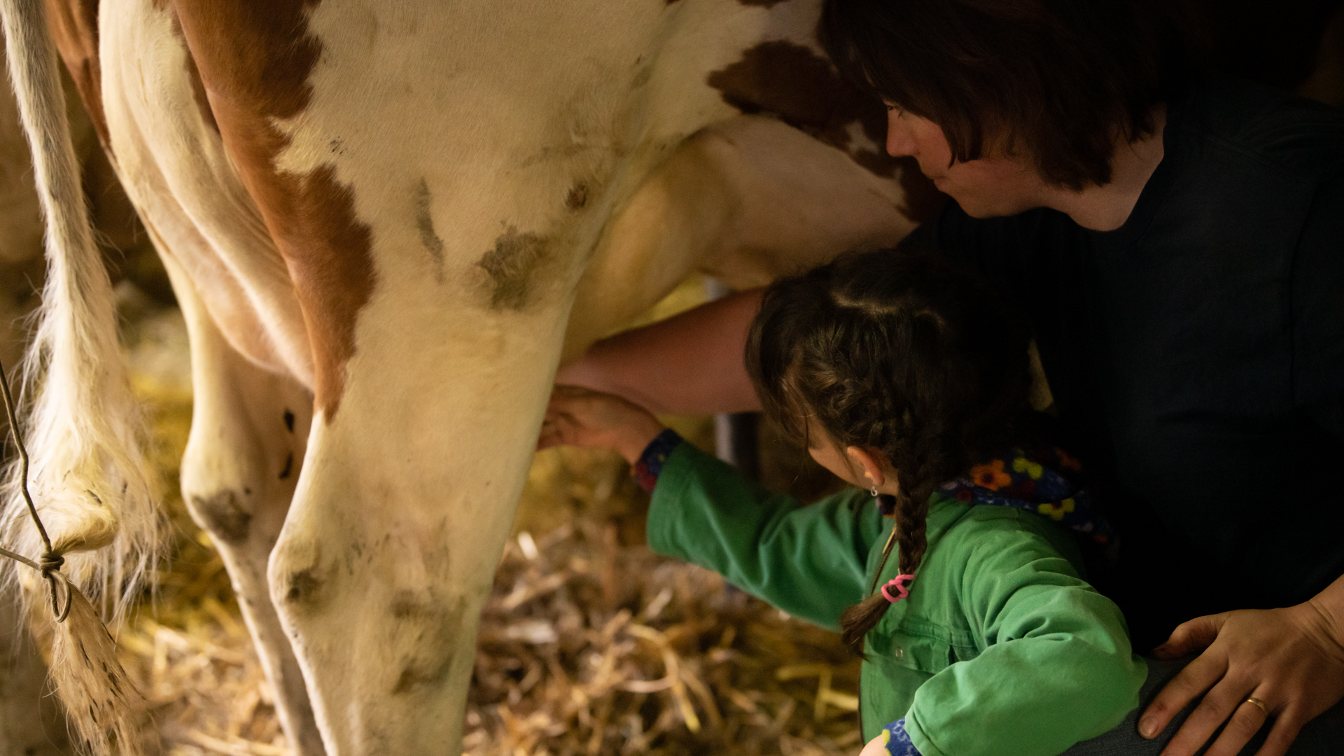 Ferme Berra